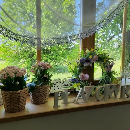 Plazowka Bialczanska 3* Białka Tatrzańska