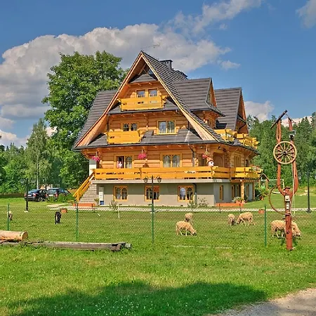 Plazowka Bialczanska *